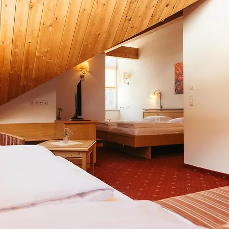 Nassereinerhof 3* Санкт-Антон-ам-Арльберг