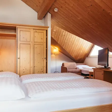Nassereinerhof 3* Санкт-Антон-ам-Арльберг